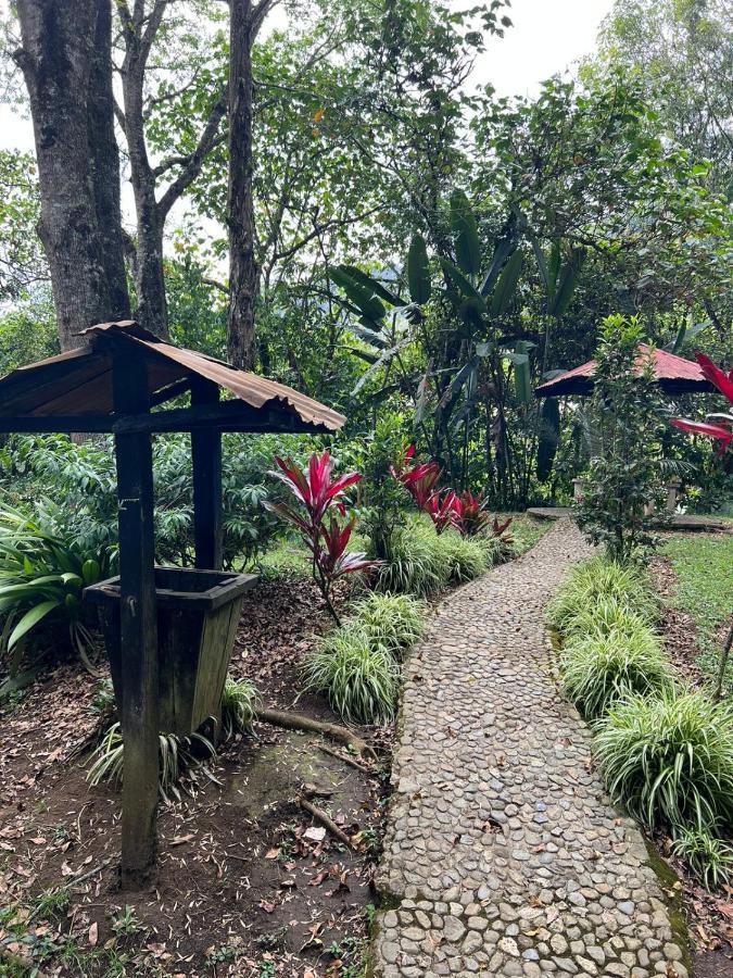 Hotel Spanglish Colombia Jericoc  Exterior foto